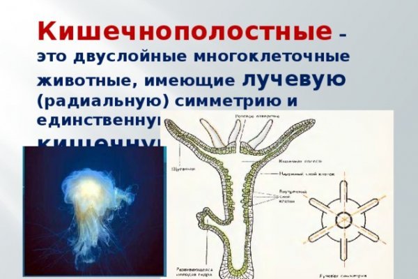 Ссылки на тор блэк спрут