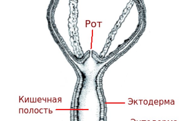 Bs gs ru официальный сайт