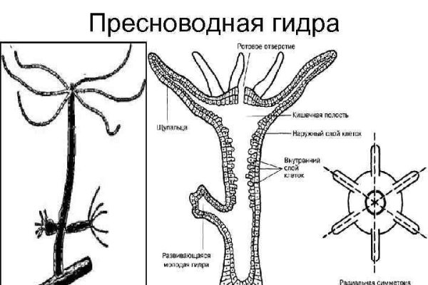 Блэк спрут ссылка blacksprute com