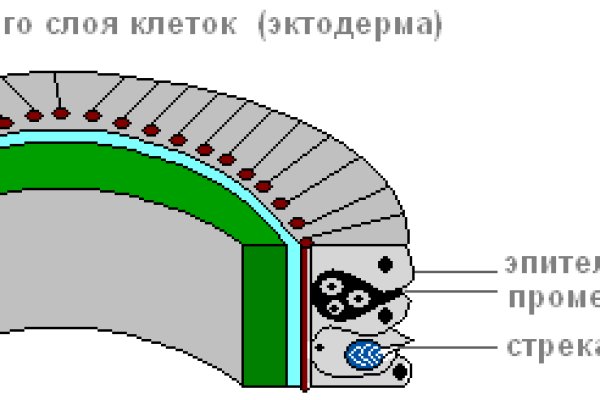 Black sprut зеркало официальный сайт bs2web top