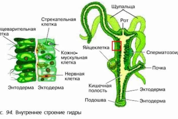 Что такое 2fa код в блэк спрут